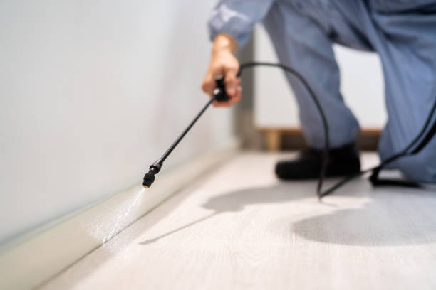Licensed Mosquito Control service in McCord, OK - Show Me Pest Control
