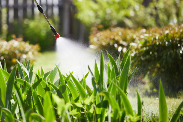 24/7 Emergency Mosquito Control experts in McCord, OK