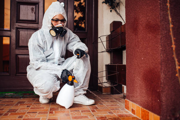 Reliable Mosquito Control contractor in McCord, OK by Show Me Pest Control