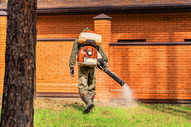 Top rated local Mosquito Control specialists in McCord, OK